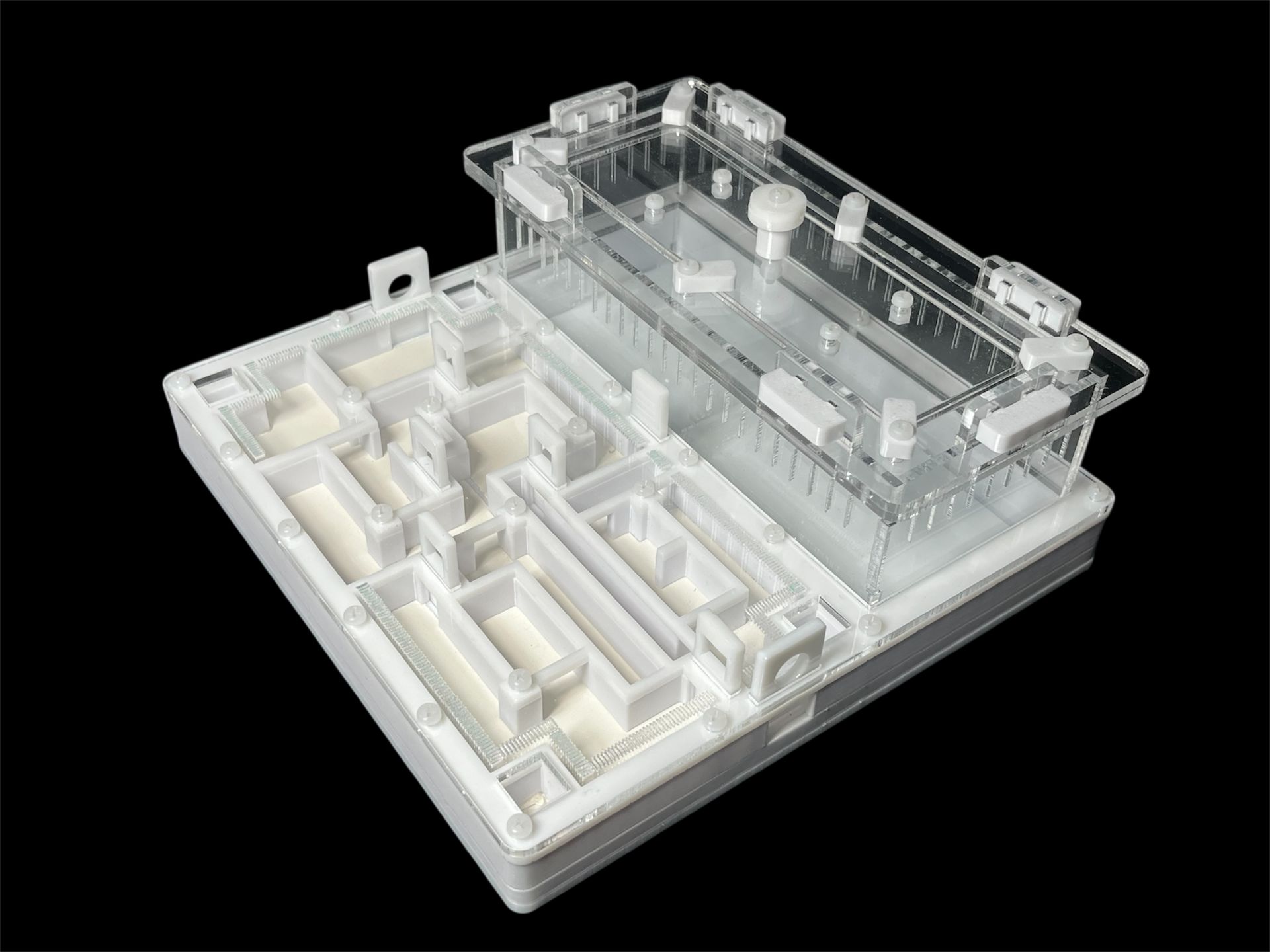 Ферма для мурашок біла «Лабіринт» з гіпсом. 20х20см, 4 зони зволоження, для Odontoponera