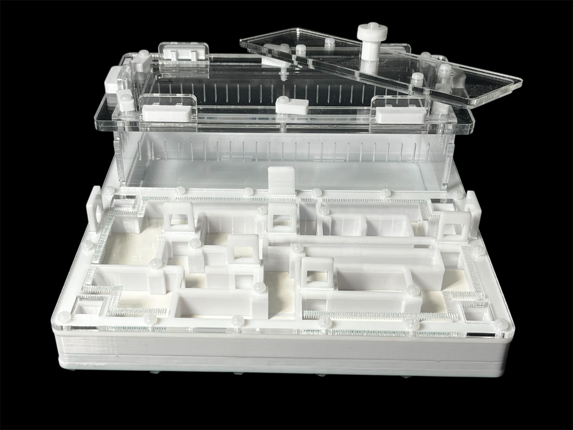 Ферма для мурашок біла «Лабіринт» з гіпсом. 20х20см, 4 зони зволоження, для Odontoponera