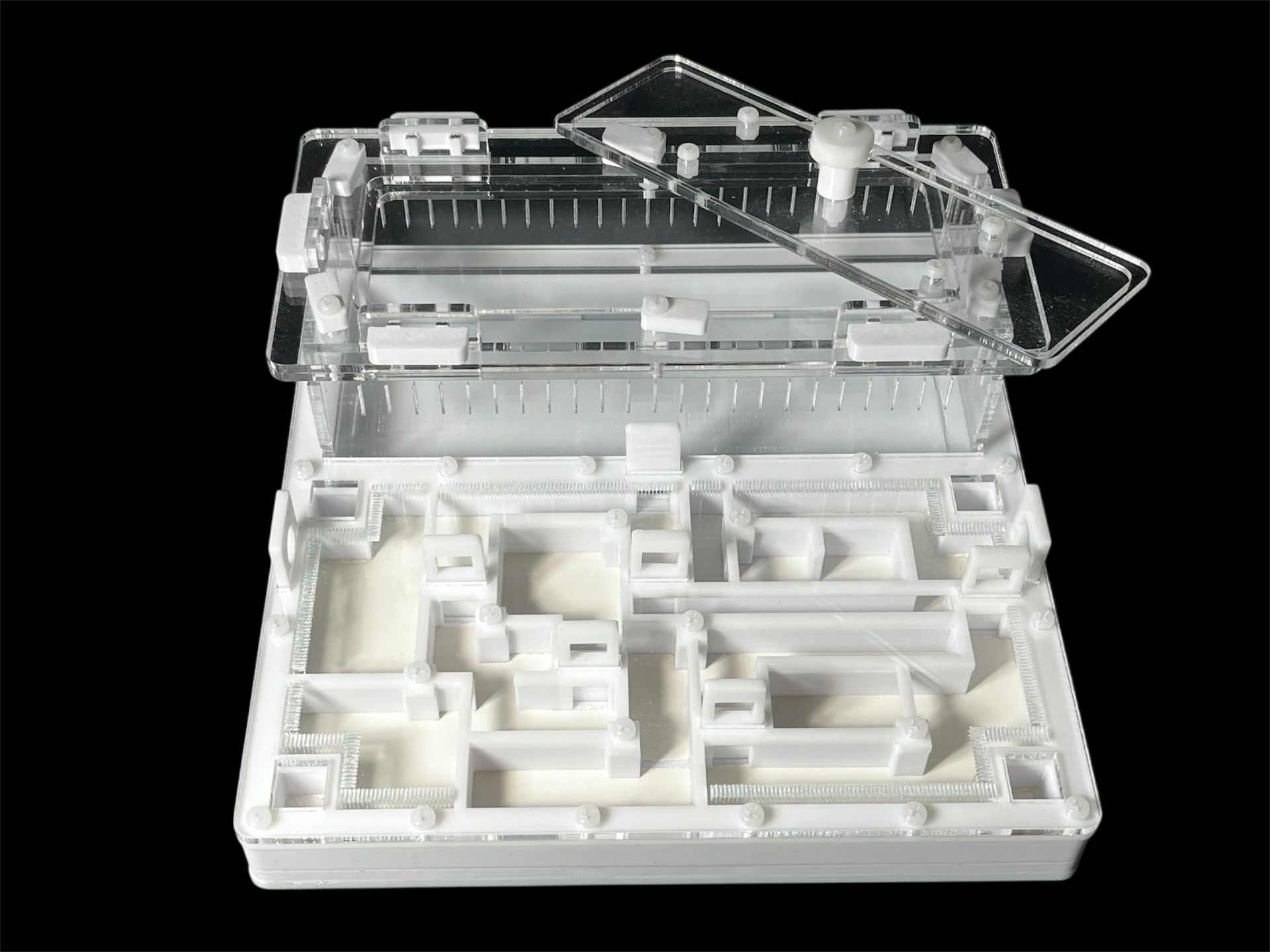 Ферма для мурашок біла «Лабіринт» з гіпсом. 20х20см, 4 зони зволоження, для Odontoponera