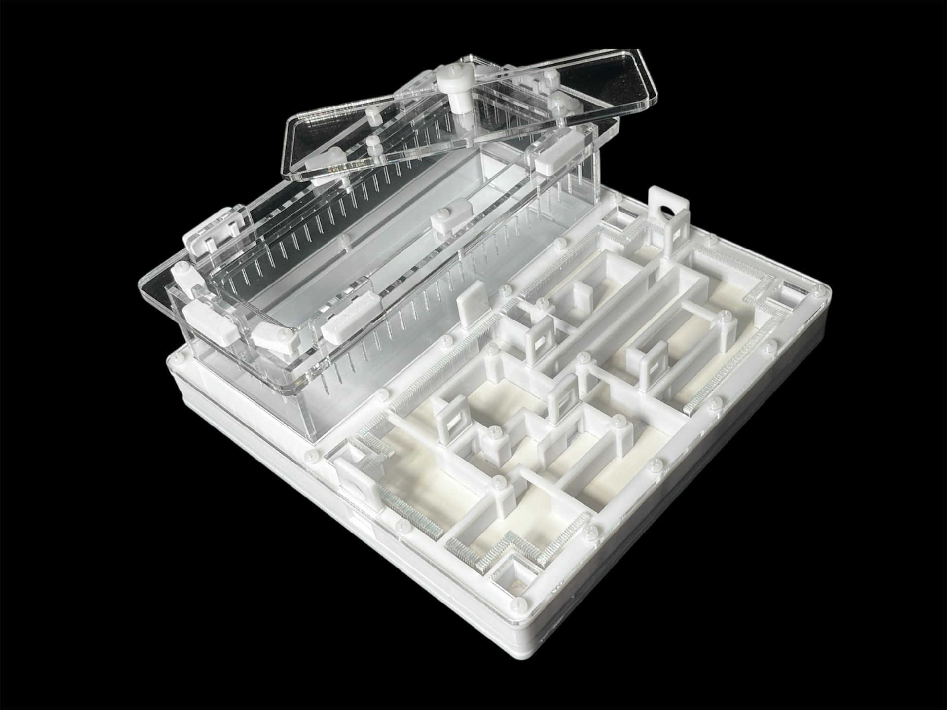 Ферма для мурашок біла «Лабіринт» з гіпсом. 20х20см, 4 зони зволоження, для Odontoponera