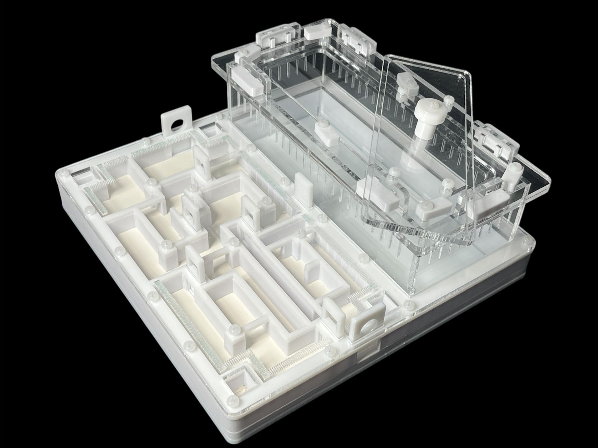 Ферма для мурашок біла «Лабіринт» з гіпсом. 20х20см, 4 зони зволоження, для Odontoponera