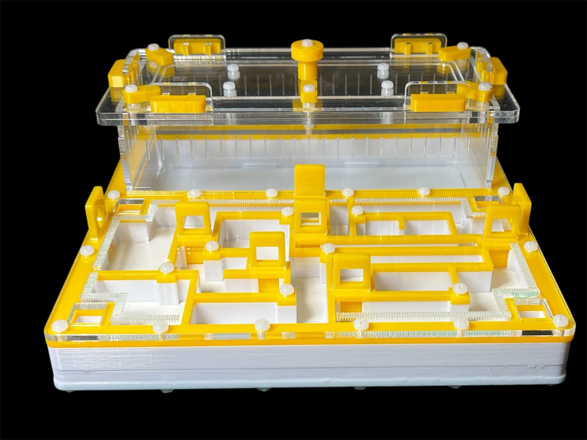 Мурашина ферма «Лабіринт» жовта: гіпс повністю, 5 секцій, 4 зони зволоження для Odontomachus