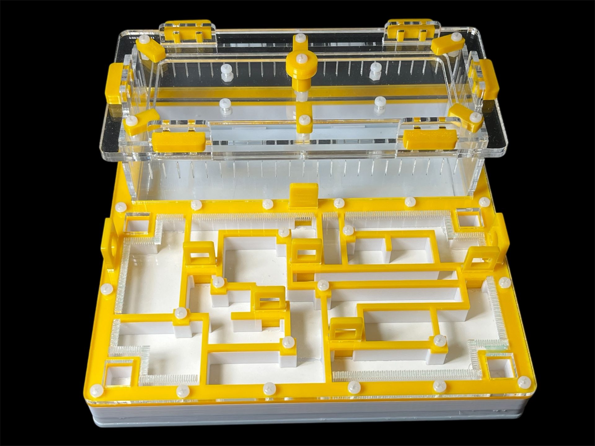 Мурашина ферма «Лабіринт» жовта: гіпс повністю, 5 секцій, 4 зони зволоження для Odontomachus