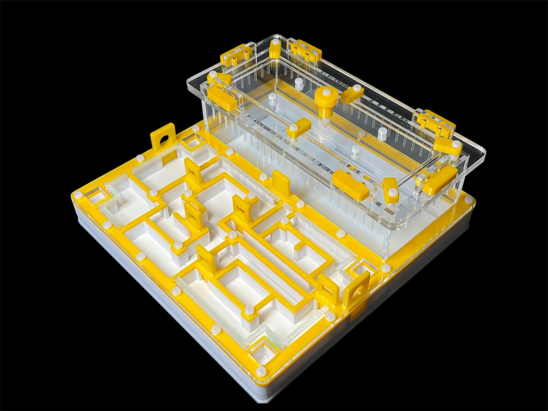 Мурашина ферма «Лабіринт» жовта: гіпс повністю, 5 секцій, 4 зони зволоження для Odontomachus