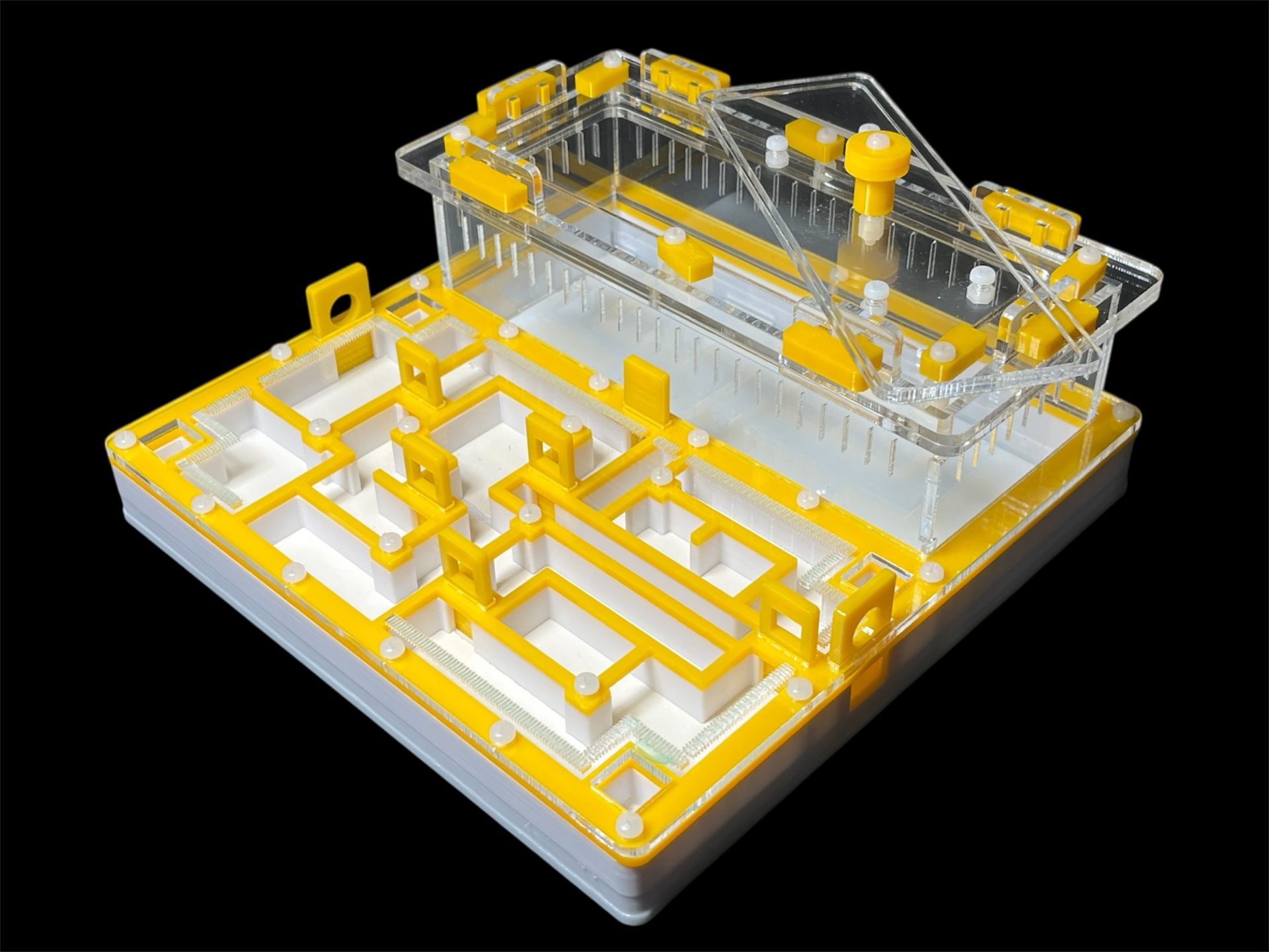 Мурашина ферма «Лабіринт» жовта: гіпс повністю, 5 секцій, 4 зони зволоження для Odontomachus