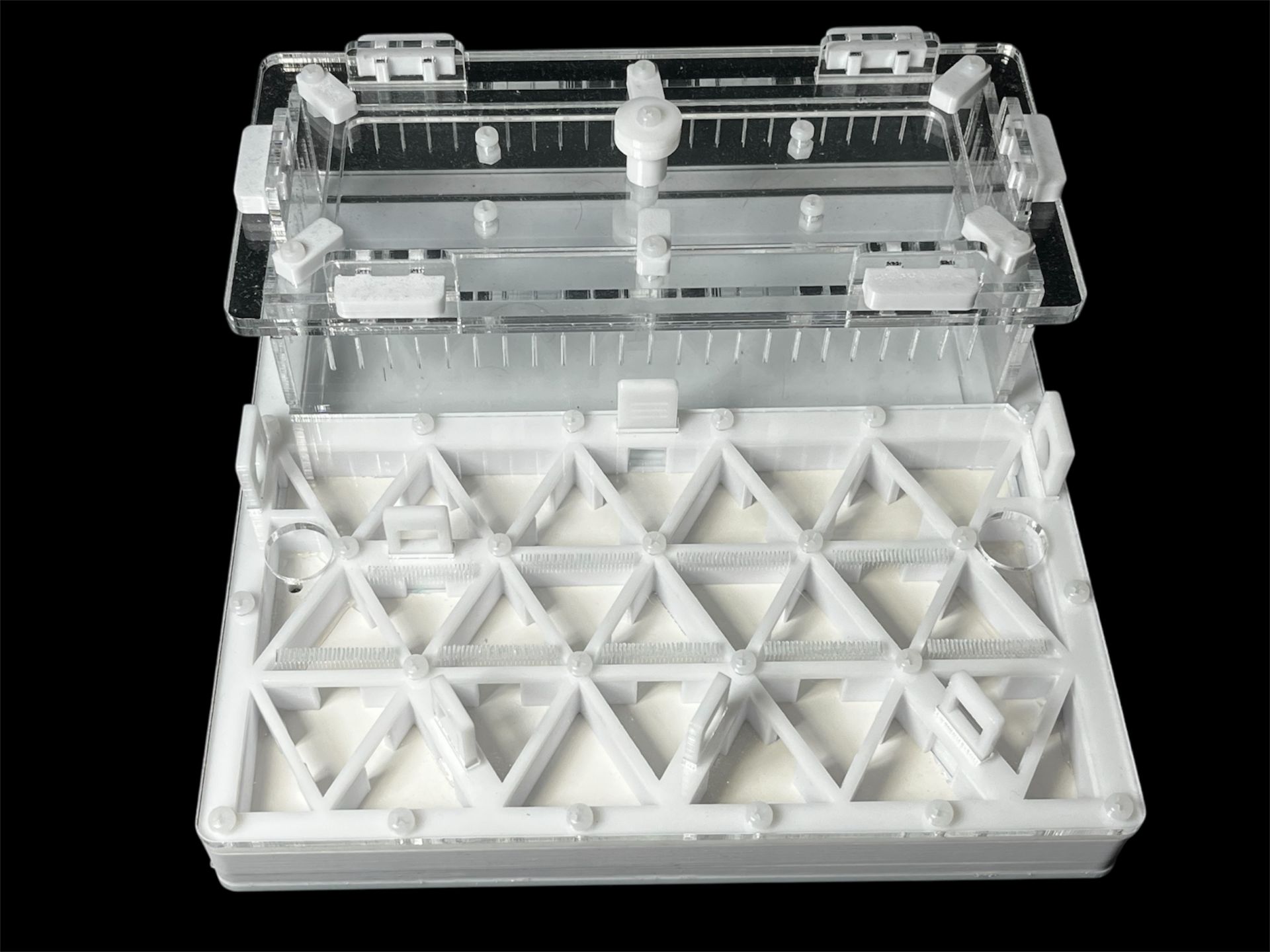 Професійна мурашина ферма 200х200мм з автозволоженням. Гіпс повністю г23, для Odontomachus