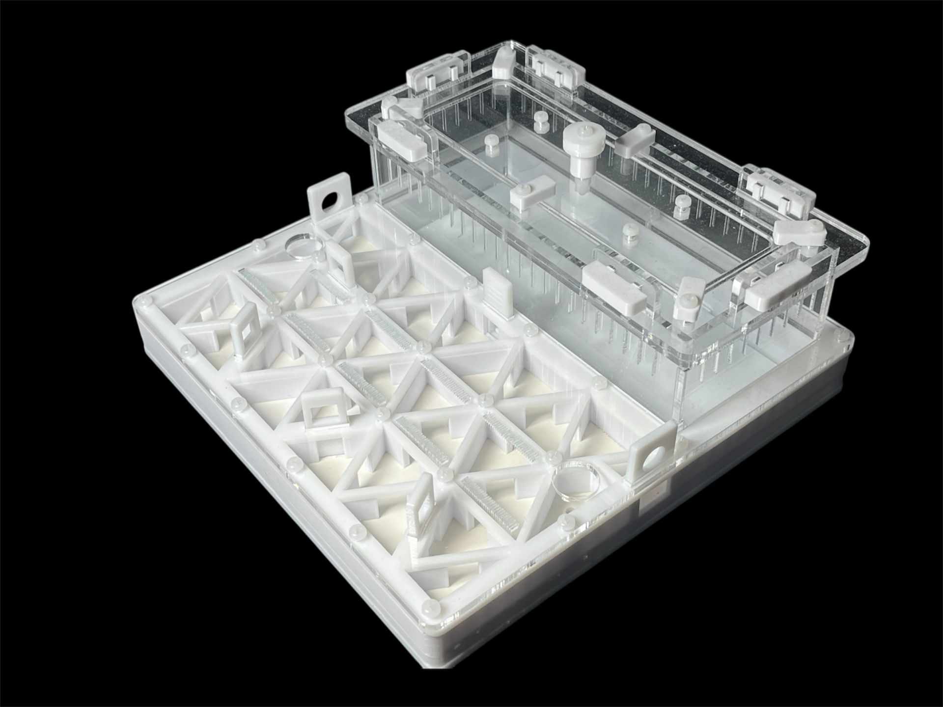 Професійна мурашина ферма 200х200мм з автозволоженням. Гіпс повністю г23, для Odontomachus