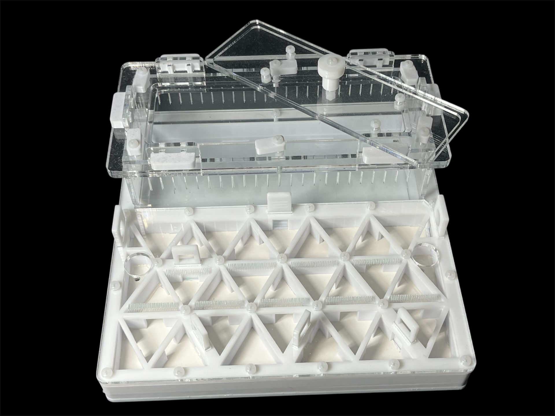 Професійна мурашина ферма 200х200мм з автозволоженням. Гіпс повністю г23, для Odontomachus