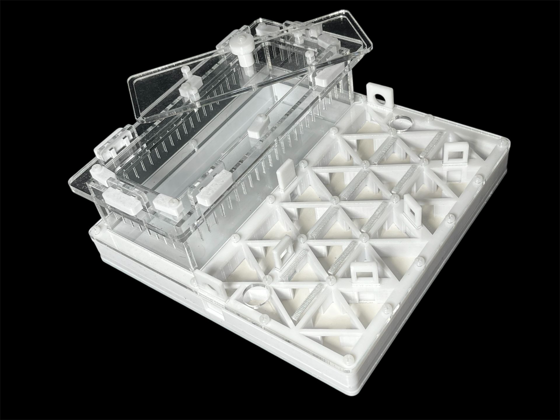 Професійна мурашина ферма 200х200мм з автозволоженням. Гіпс повністю г23, для Odontomachus