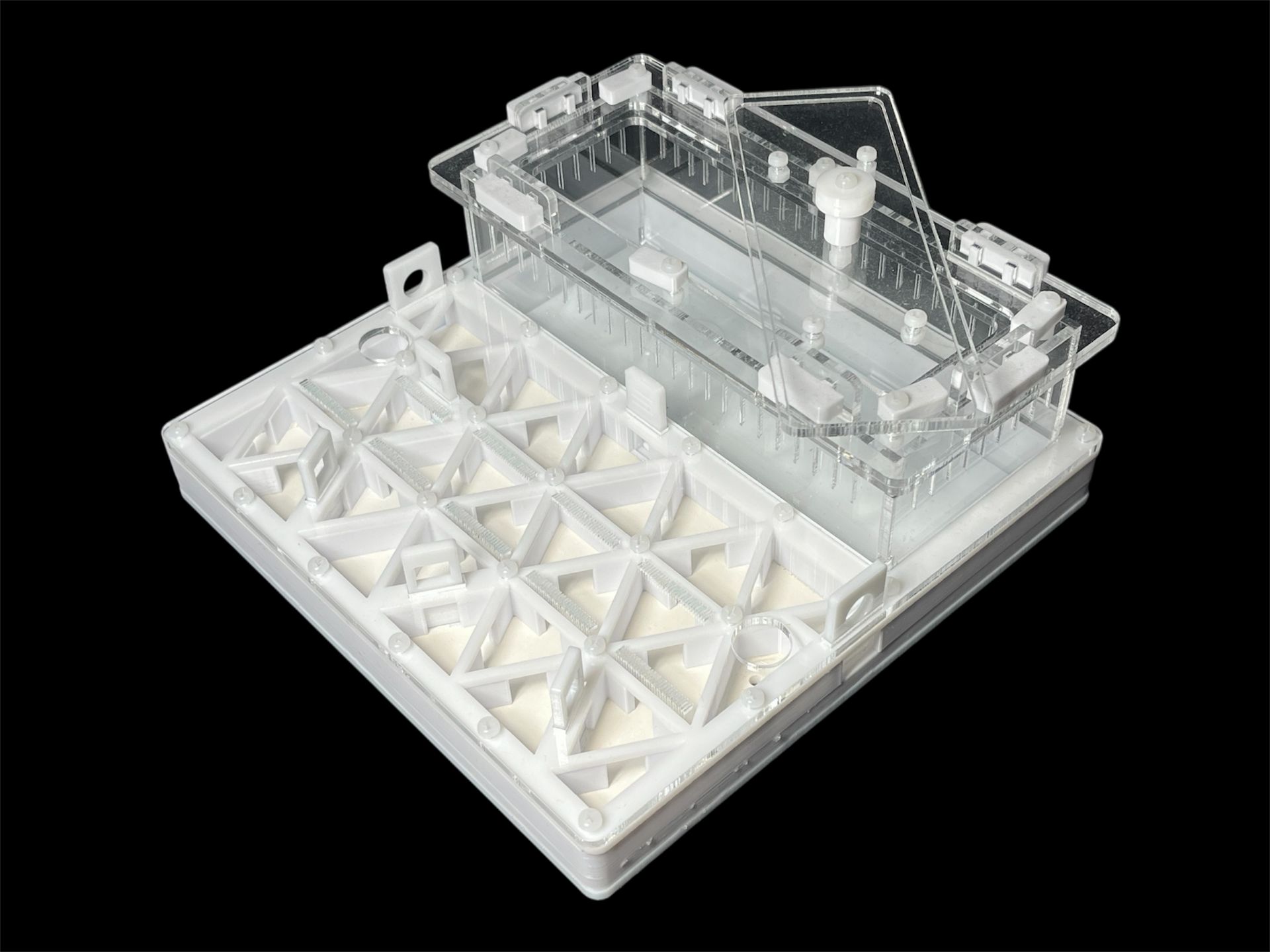 Професійна мурашина ферма 200х200мм з автозволоженням. Гіпс повністю г23, для Odontomachus