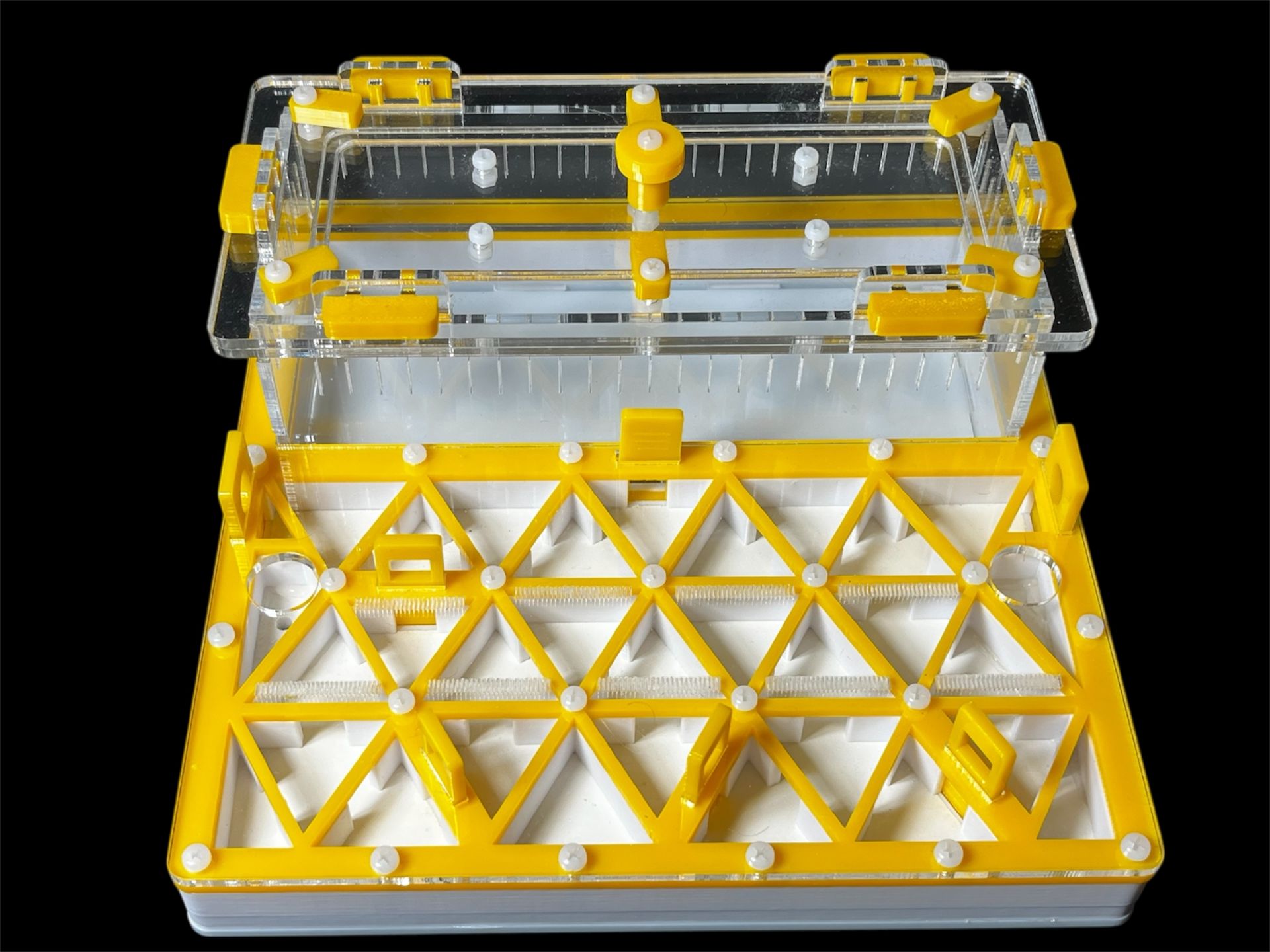 Професійна мурашина ферма 200х200мм: автозволоження, гіпс г23, 5 секцій для Pheidole, Ponerinae