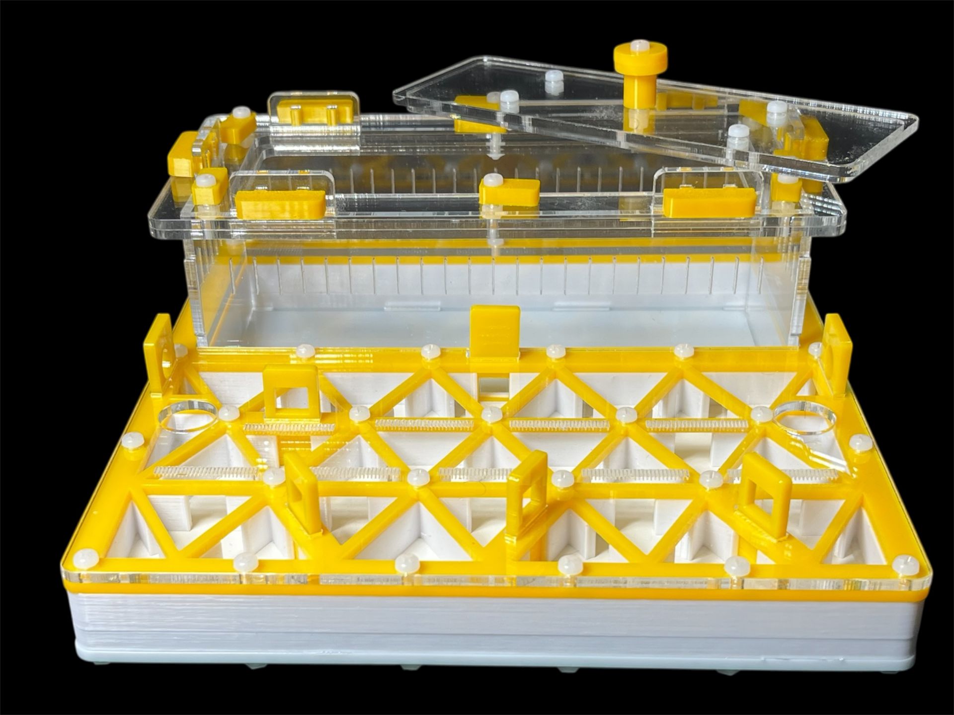 Професійна мурашина ферма 200х200мм: автозволоження, гіпс г23, 5 секцій для Pheidole, Ponerinae