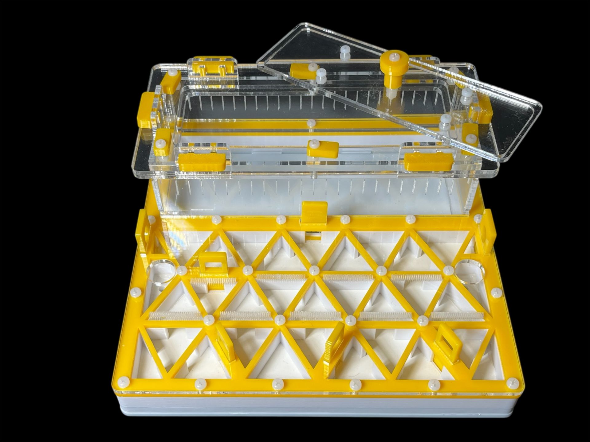 Професійна мурашина ферма 200х200мм: автозволоження, гіпс г23, 5 секцій для Pheidole, Ponerinae