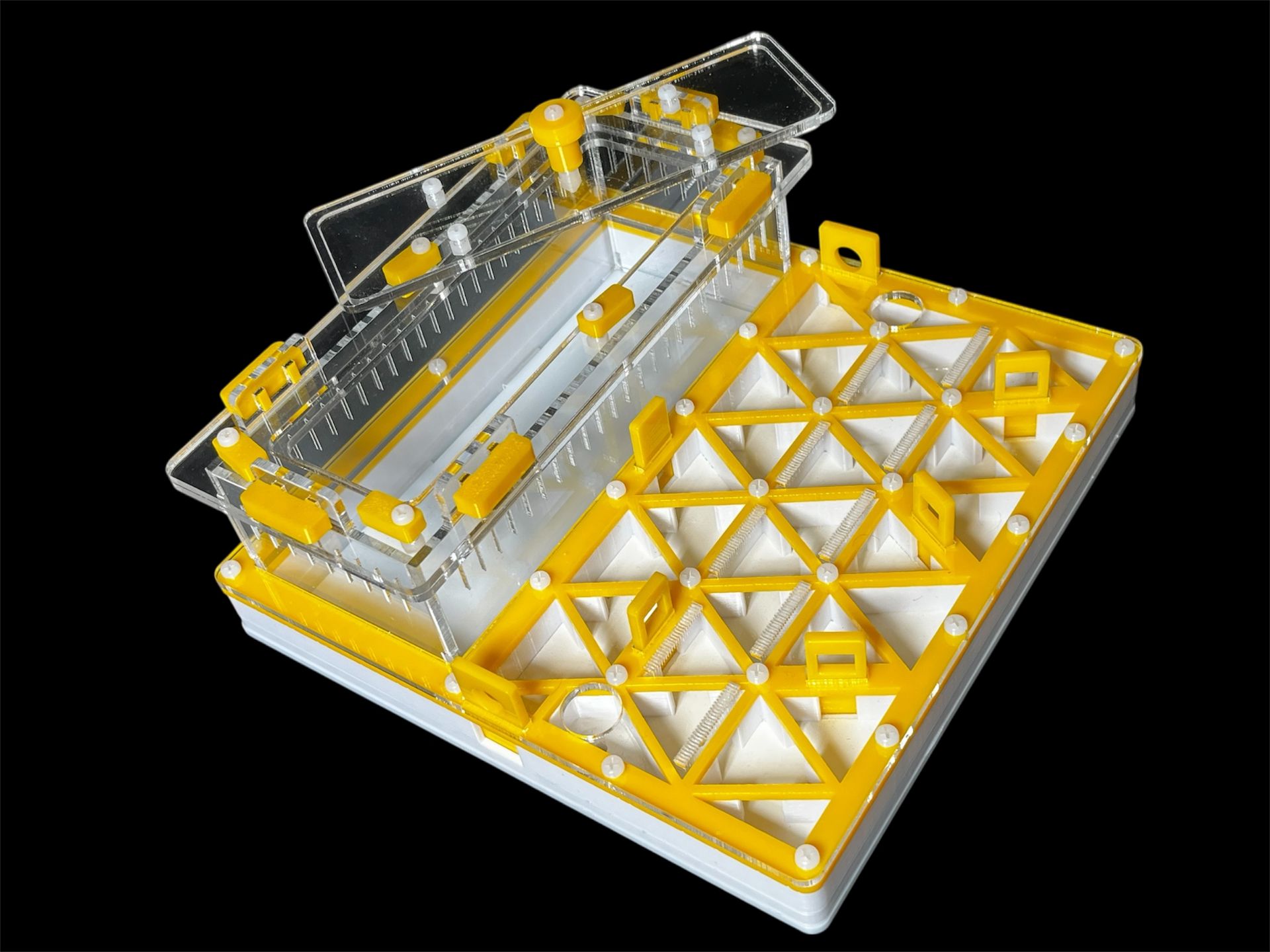 Професійна мурашина ферма 200х200мм: автозволоження, гіпс г23, 5 секцій для Pheidole, Ponerinae