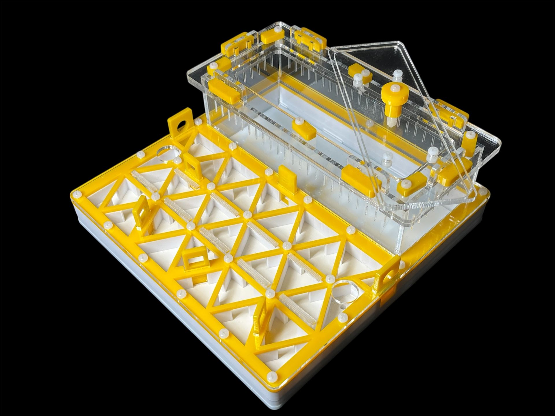 Професійна мурашина ферма 200х200мм: автозволоження, гіпс г23, 5 секцій для Pheidole, Ponerinae