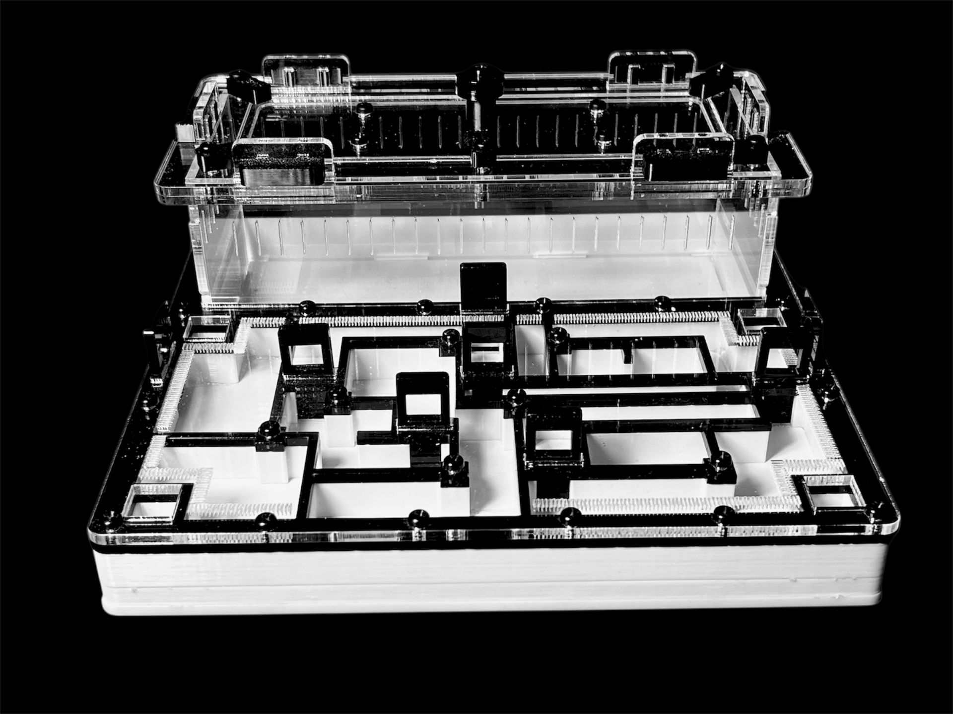 Чорна мурашина ферма «Лабіринт» 200х200мм з гіпсом для вологолюбних видів Camponotus