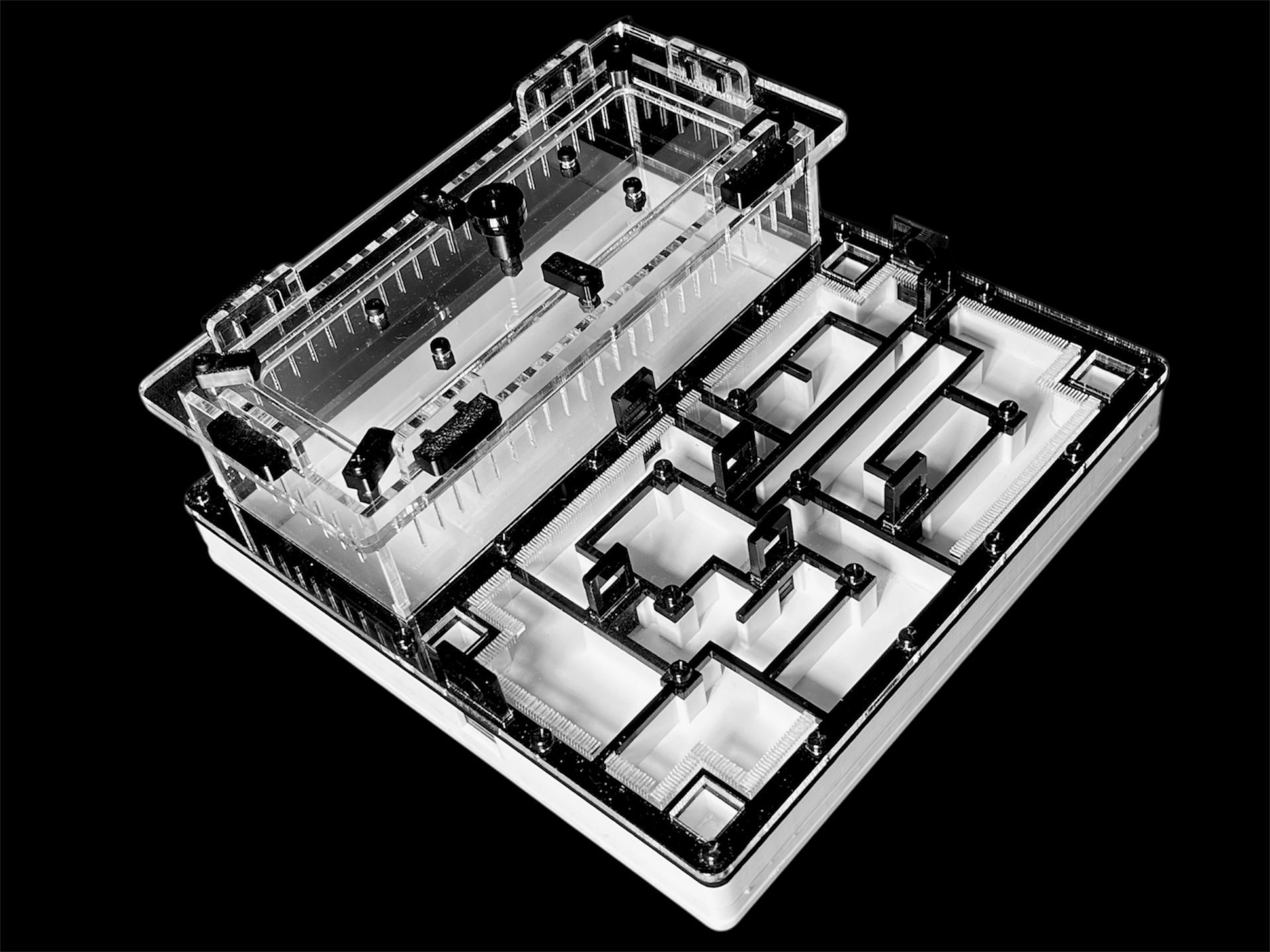 Чорна мурашина ферма «Лабіринт» 200х200мм з гіпсом для вологолюбних видів Camponotus