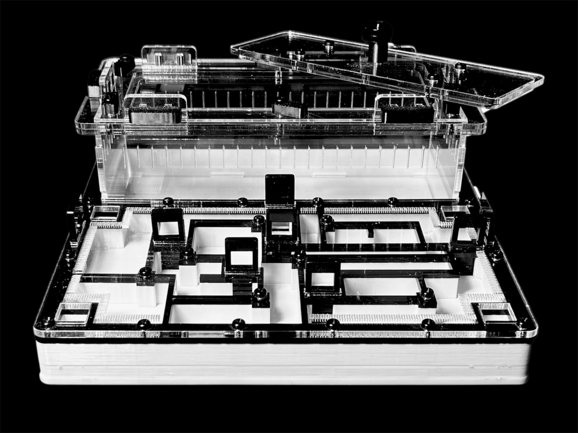 Чорна мурашина ферма «Лабіринт» 200х200мм з гіпсом для вологолюбних видів Camponotus