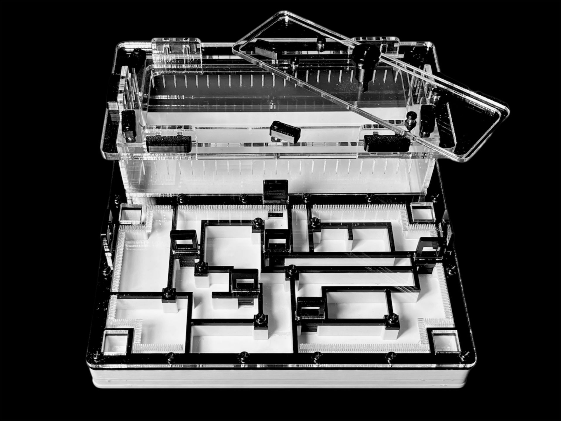 Чорна мурашина ферма «Лабіринт» 200х200мм з гіпсом для вологолюбних видів Camponotus