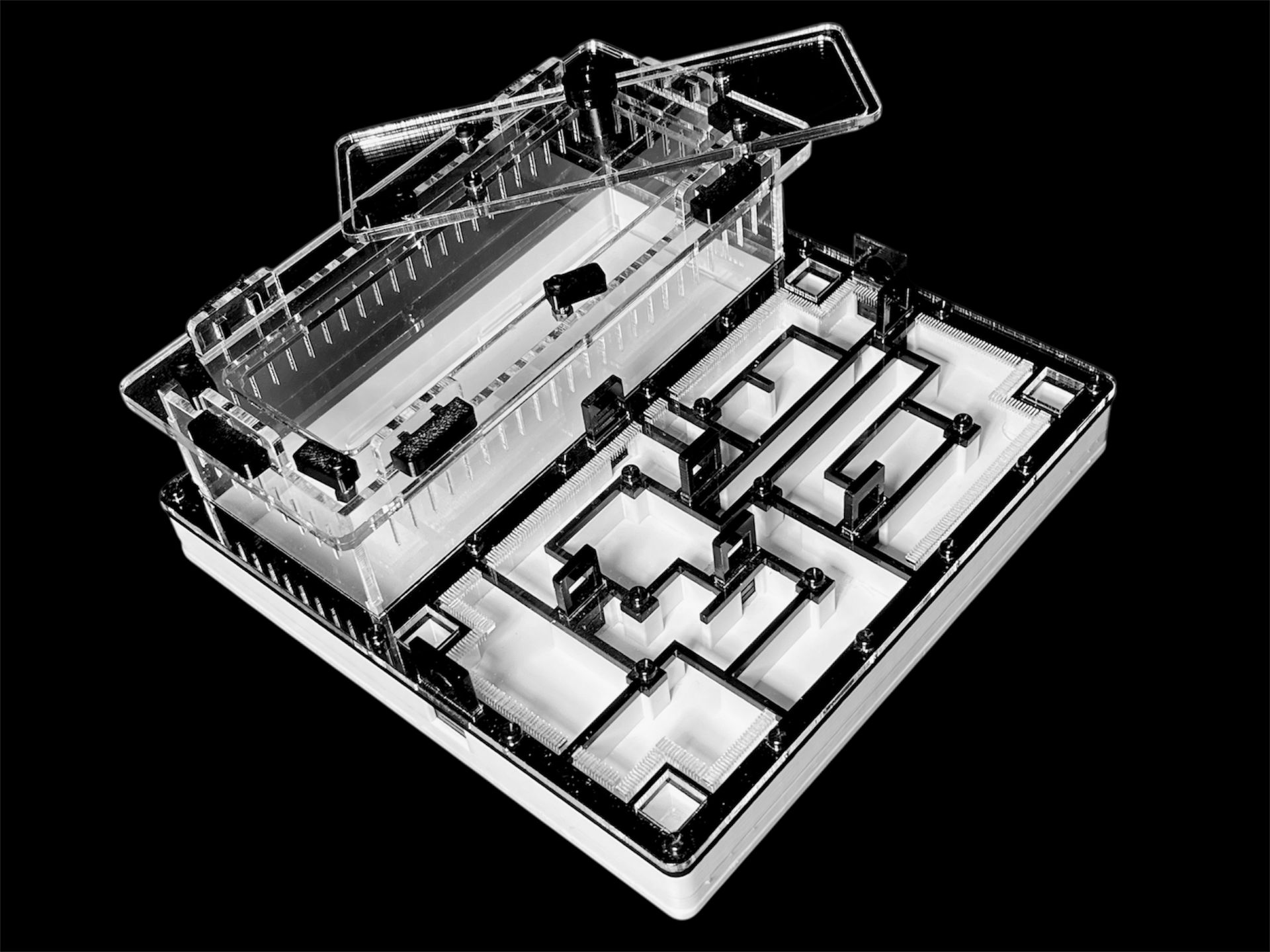 Чорна мурашина ферма «Лабіринт» 200х200мм з гіпсом для вологолюбних видів Camponotus