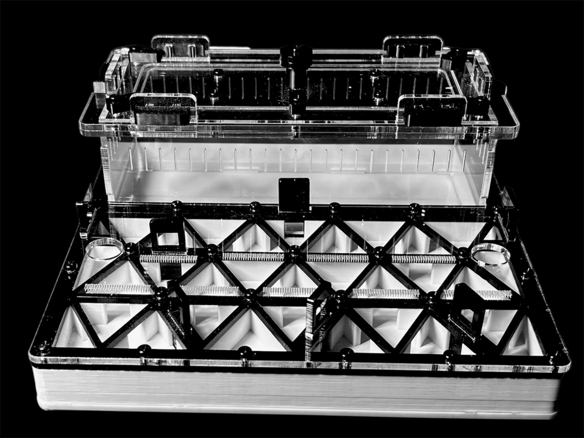 Професійна мурашина ферма чорна з автозволоженням. Гіпс Г23, 5 секцій для Carebara, Pheidole