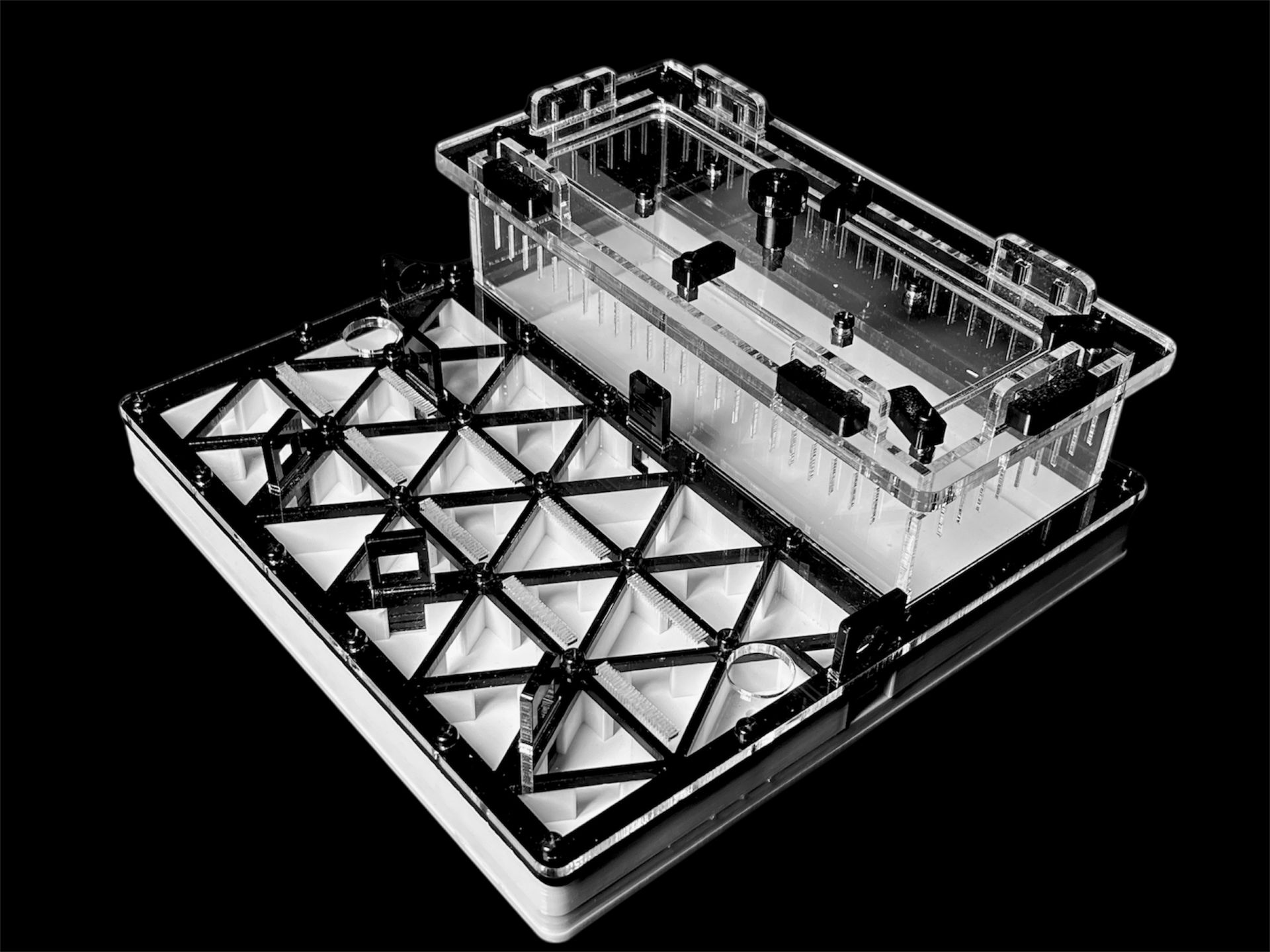 Професійна мурашина ферма чорна з автозволоженням. Гіпс Г23, 5 секцій для Carebara, Pheidole