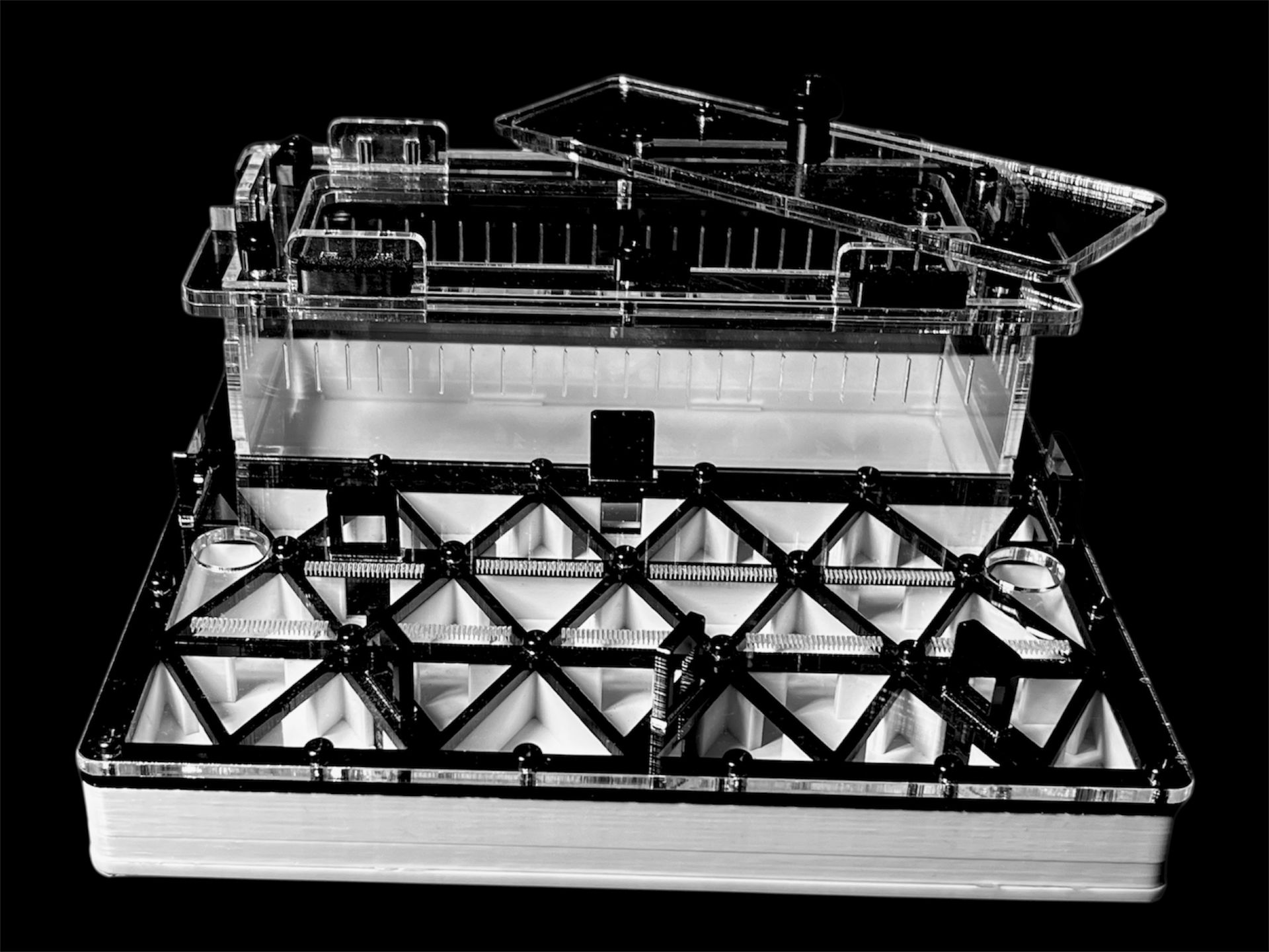 Професійна мурашина ферма чорна з автозволоженням. Гіпс Г23, 5 секцій для Carebara, Pheidole