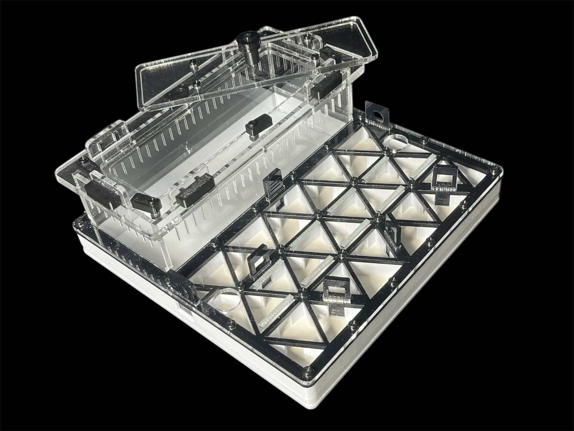 Професійна мурашина ферма чорна з автозволоженням. Гіпс Г23, 5 секцій для Carebara, Pheidole