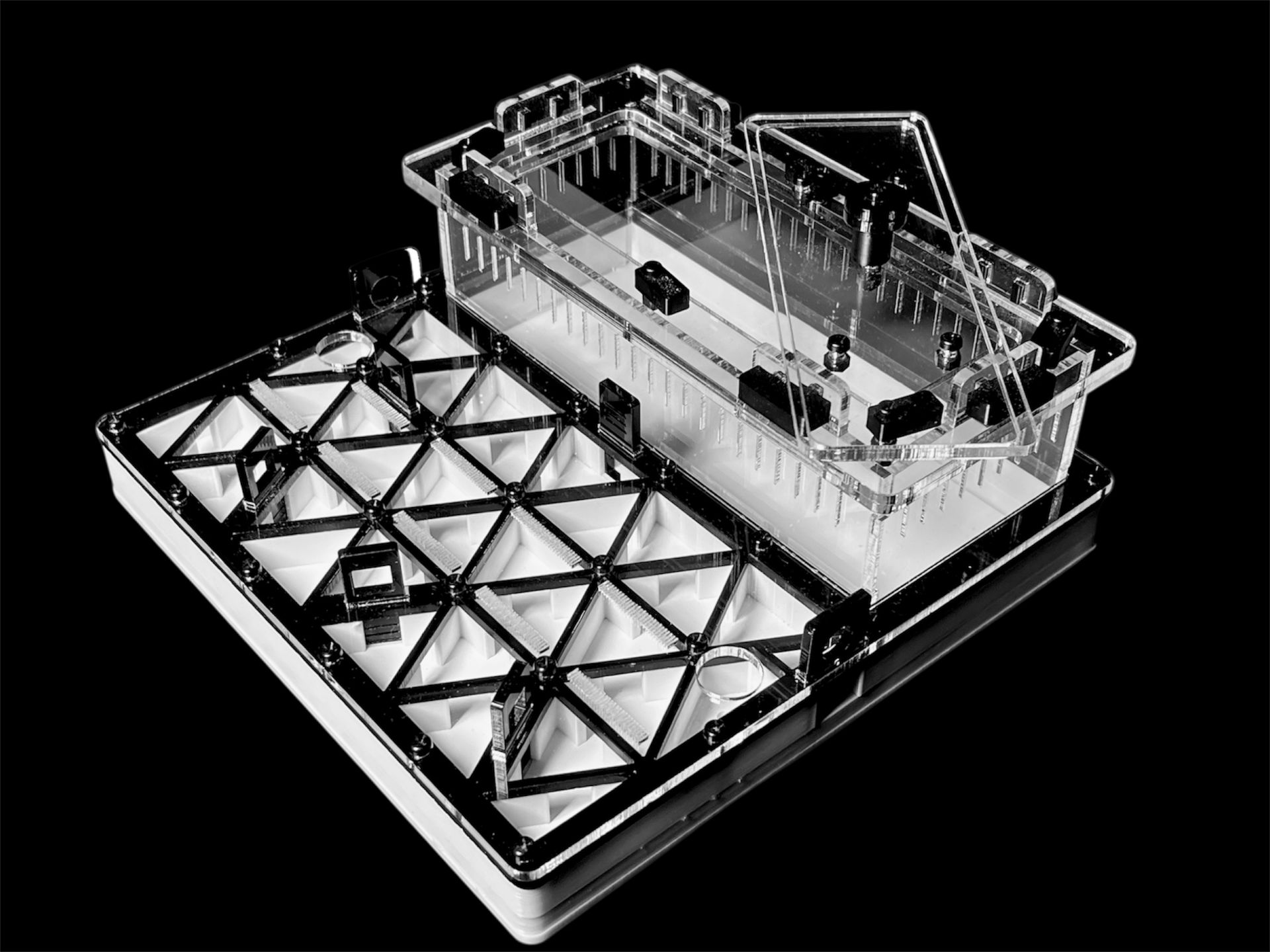 Професійна мурашина ферма чорна з автозволоженням. Гіпс Г23, 5 секцій для Carebara, Pheidole