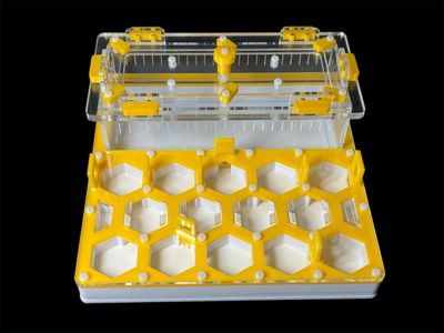 Ферма для мурах жовта Соти 200х200мм з повним гіпсом г23. Захист від втечі, 5 секцій