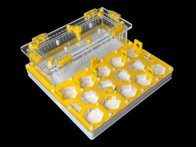 Ферма для мурах жовта Соти 200х200мм з повним гіпсом г23. Захист від втечі, 5 секцій