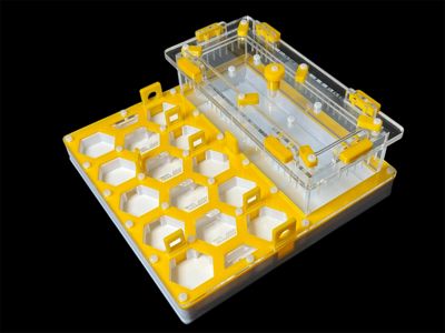 Ферма для мурах жовта Соти 200х200мм з повним гіпсом г23. Захист від втечі, 5 секцій