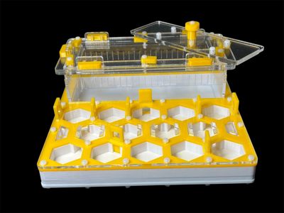 Ферма для мурах жовта Соти 200х200мм з повним гіпсом г23. Захист від втечі, 5 секцій