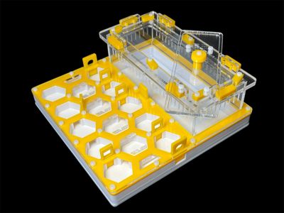 Ферма для мурах жовта Соти 200х200мм з повним гіпсом г23. Захист від втечі, 5 секцій