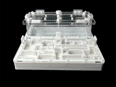 Ферма для мурашок біла «Лабіринт» з гіпсом. 20х20см, 4 зони зволоження, для Odontoponera