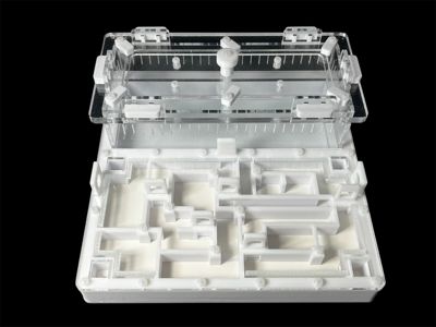 Ферма для мурашок біла «Лабіринт» з гіпсом. 20х20см, 4 зони зволоження, для Odontoponera