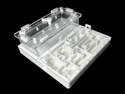 Ферма для мурашок біла «Лабіринт» з гіпсом. 20х20см, 4 зони зволоження, для Odontoponera