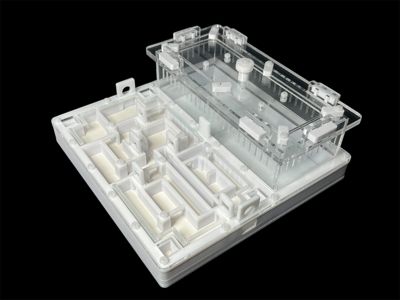 Ферма для мурашок біла «Лабіринт» з гіпсом. 20х20см, 4 зони зволоження, для Odontoponera