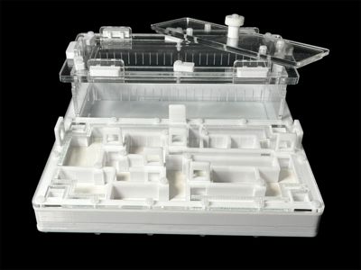 Ферма для мурашок біла «Лабіринт» з гіпсом. 20х20см, 4 зони зволоження, для Odontoponera