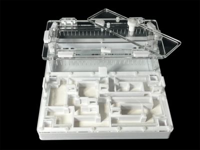 Ферма для мурашок біла «Лабіринт» з гіпсом. 20х20см, 4 зони зволоження, для Odontoponera