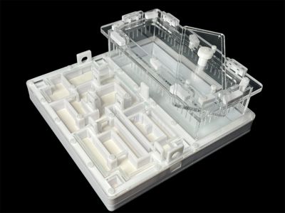 Ферма для мурашок біла «Лабіринт» з гіпсом. 20х20см, 4 зони зволоження, для Odontoponera
