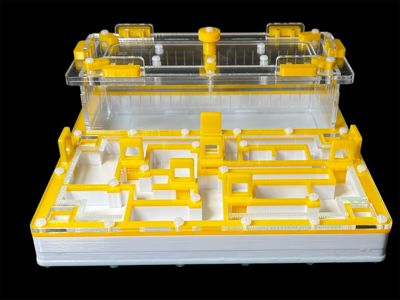 Мурашина ферма «Лабіринт» жовта: гіпс повністю, 5 секцій, 4 зони зволоження для Odontomachus