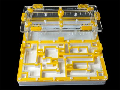 Мурашина ферма «Лабіринт» жовта: гіпс повністю, 5 секцій, 4 зони зволоження для Odontomachus