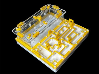 Мурашина ферма «Лабіринт» жовта: гіпс повністю, 5 секцій, 4 зони зволоження для Odontomachus