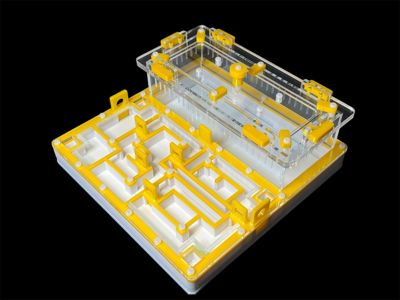 Мурашина ферма «Лабіринт» жовта: гіпс повністю, 5 секцій, 4 зони зволоження для Odontomachus