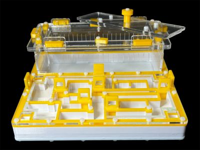 Мурашина ферма «Лабіринт» жовта: гіпс повністю, 5 секцій, 4 зони зволоження для Odontomachus