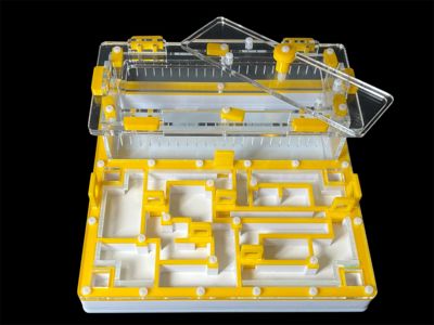 Мурашина ферма «Лабіринт» жовта: гіпс повністю, 5 секцій, 4 зони зволоження для Odontomachus