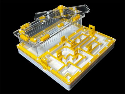 Мурашина ферма «Лабіринт» жовта: гіпс повністю, 5 секцій, 4 зони зволоження для Odontomachus