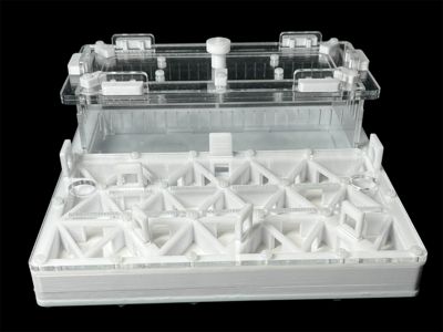 Професійна мурашина ферма 200х200мм з автозволоженням. Гіпс повністю г23, для Odontomachus