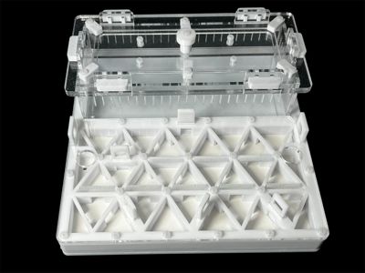 Професійна мурашина ферма 200х200мм з автозволоженням. Гіпс повністю г23, для Odontomachus